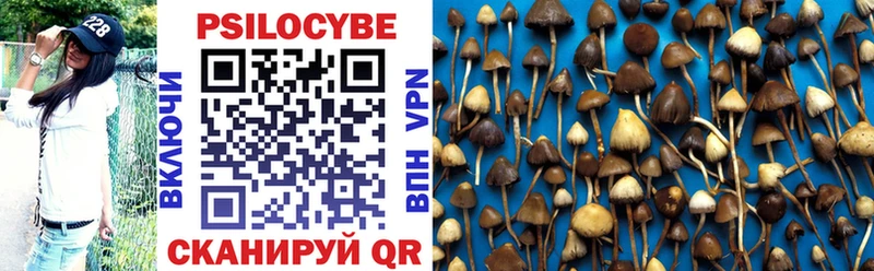 что такое наркотик  Североуральск  Псилоцибиновые грибы MAGIC MUSHROOMS 